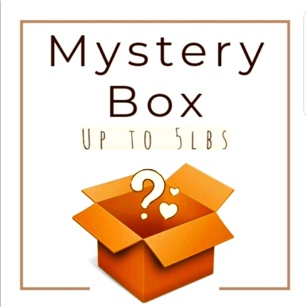 5 Men's L MYSTERY BOX‎